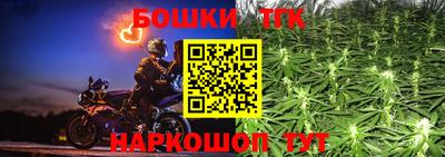 тгк Будённовск