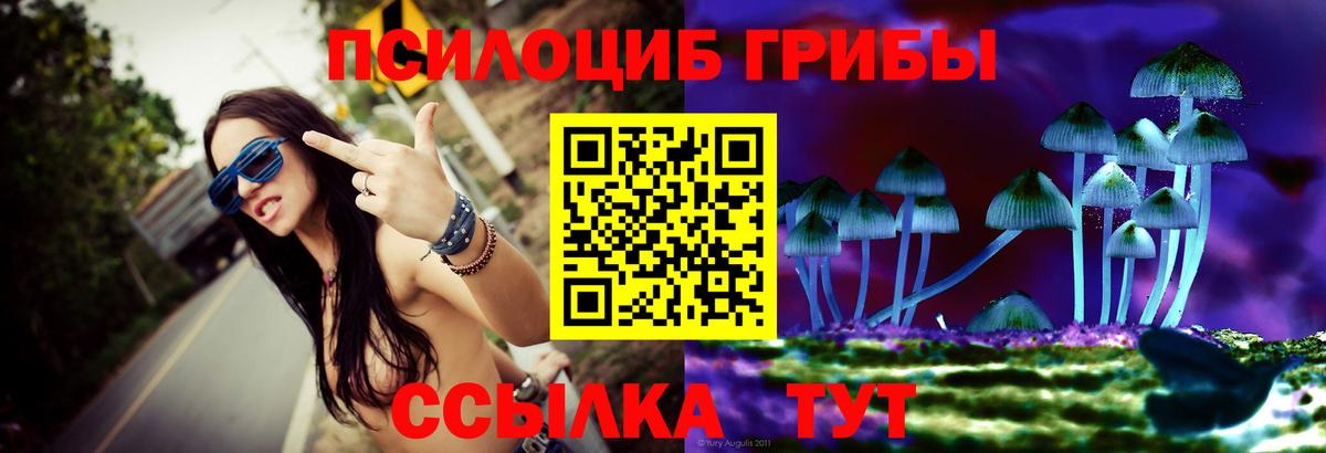 Россошь  Галлюциногенные грибы мицелий  Псилоцибиновые грибы Magic Shrooms  Вход с VPN 