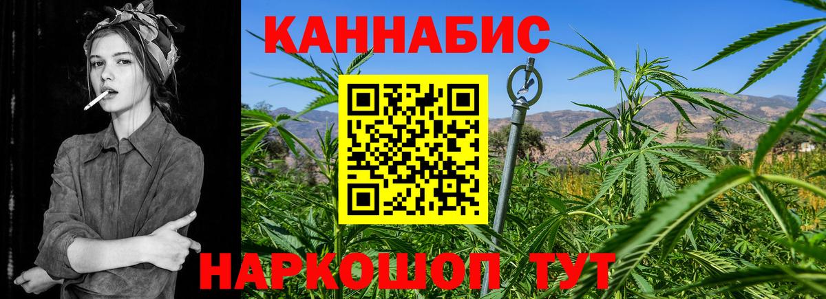 Бошки Шишки планчик Россошь